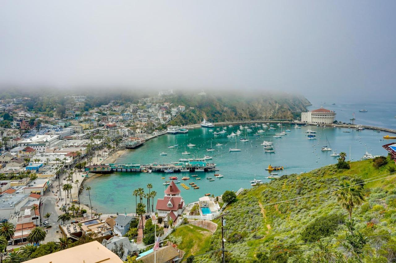 Dreamy Catalina Island Home, Walk To Beach And Ferry 아발론 외부 사진